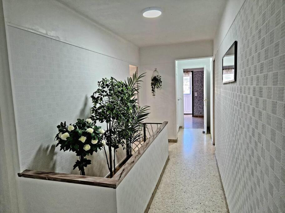 Villa Marseille Dans Les Hauteurs Екстериор снимка
